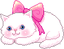 big-white-kitty